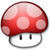 蘑菇加速器官网版